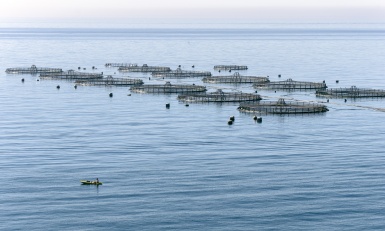 Agroalimentaire : Les chantiers d’usines 2026 