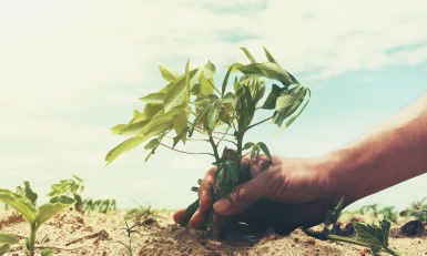 Veille Cetim - Sobriété hydrique pour l’adaptation au changement climatique