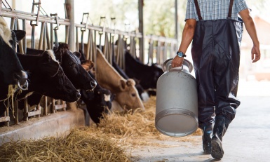 Veille investissements agroalimentaires - Février 2024